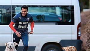 Pictures: Arsenal's Alexis Sanchez Brought His Dogs To Chile Training Today