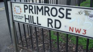 Primrose Hill: Nice Place Ruined By Complete Whoppers