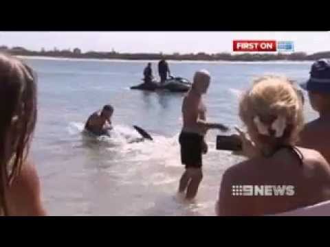Man stops shark from attacking toddlers with his bare hands